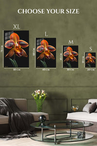 EMESA metal wall art size comparison guide for Amber Orchid on Black