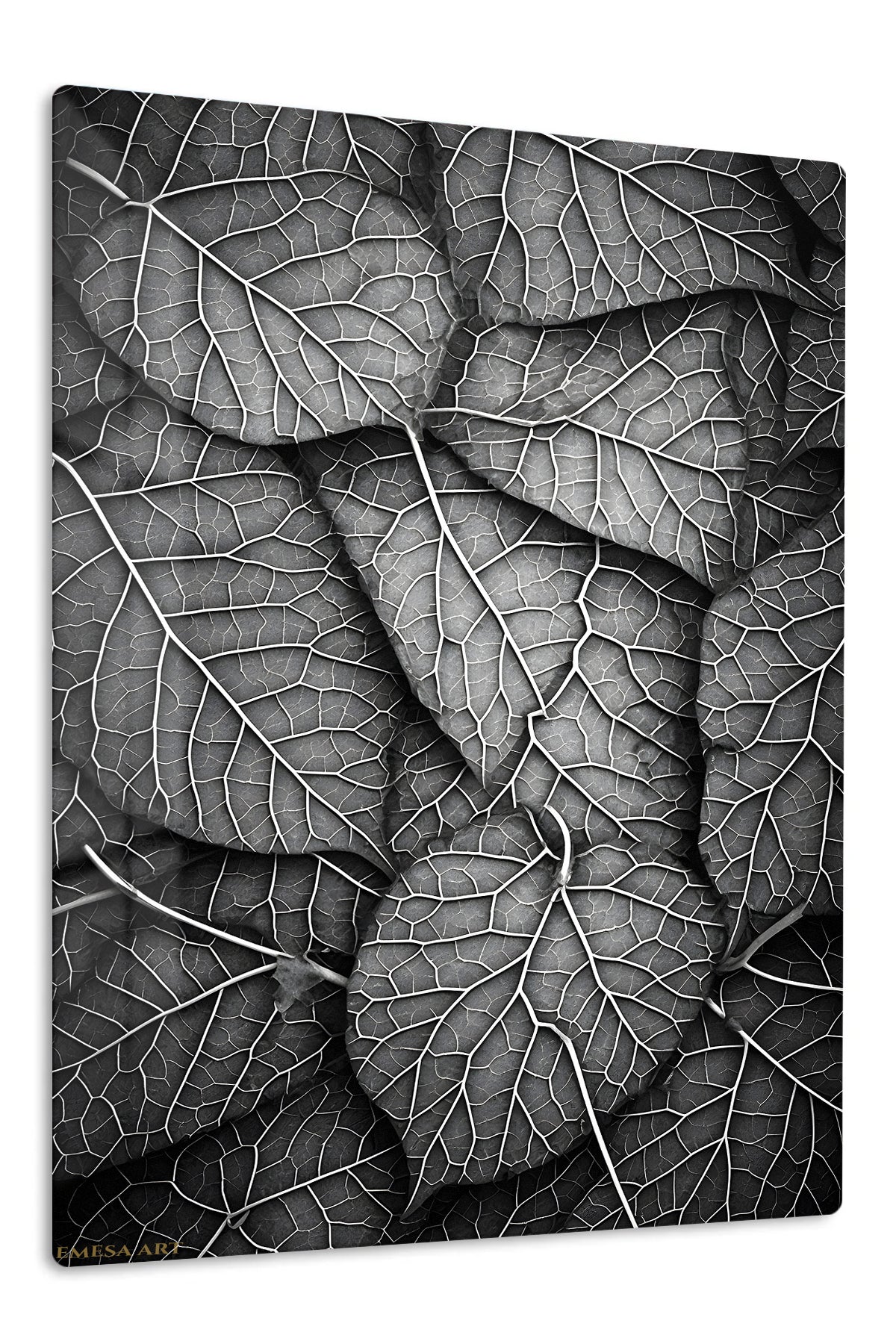 Monochrome Leaf Veins premium metal wall art – front view