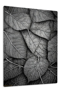 Monochrome Leaf Veins premium metal wall art – front view
