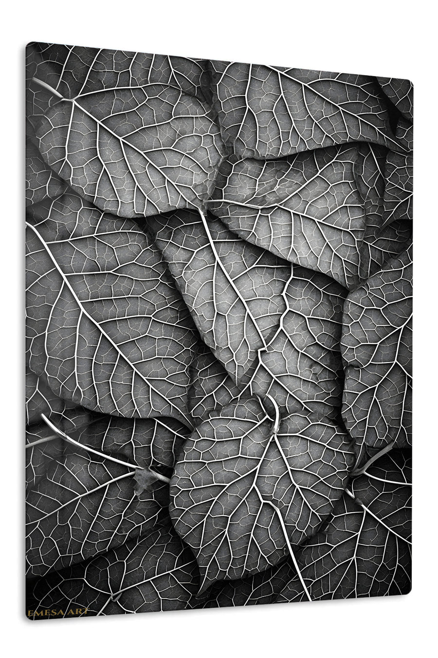 Monochrome Leaf Veins premium metal wall art – front view