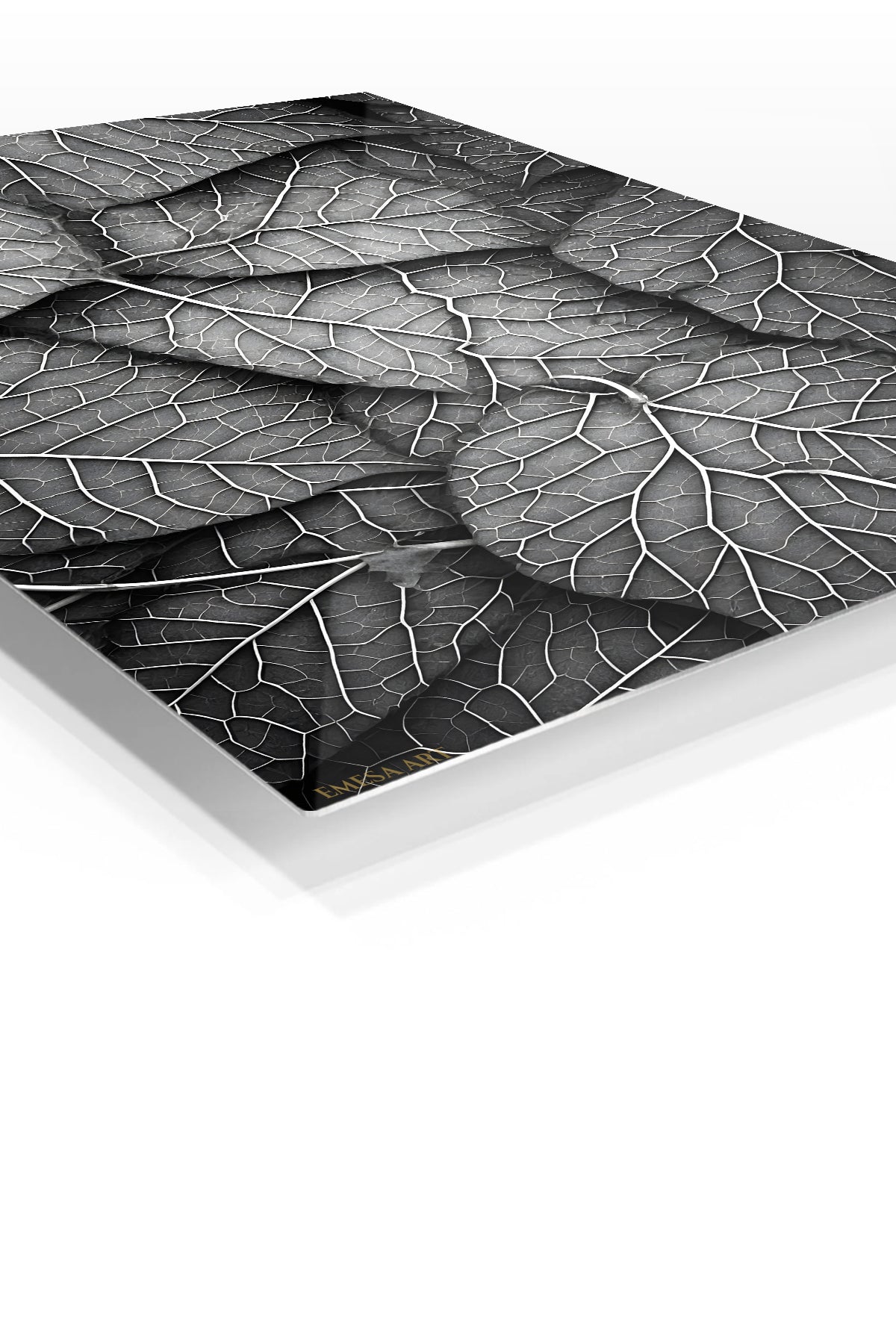 Monochrome Leaf Veins premium metal wall art – angled view