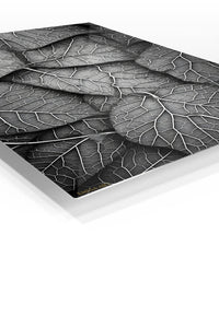 Monochrome Leaf Veins premium metal wall art – angled view