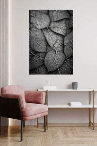 Monochrome Leaf Veins metal wall art displayed in a contemporary living space