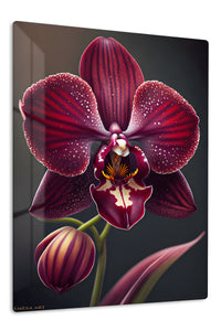 Velvet Burgundy Orchid premium metal wall art – front view