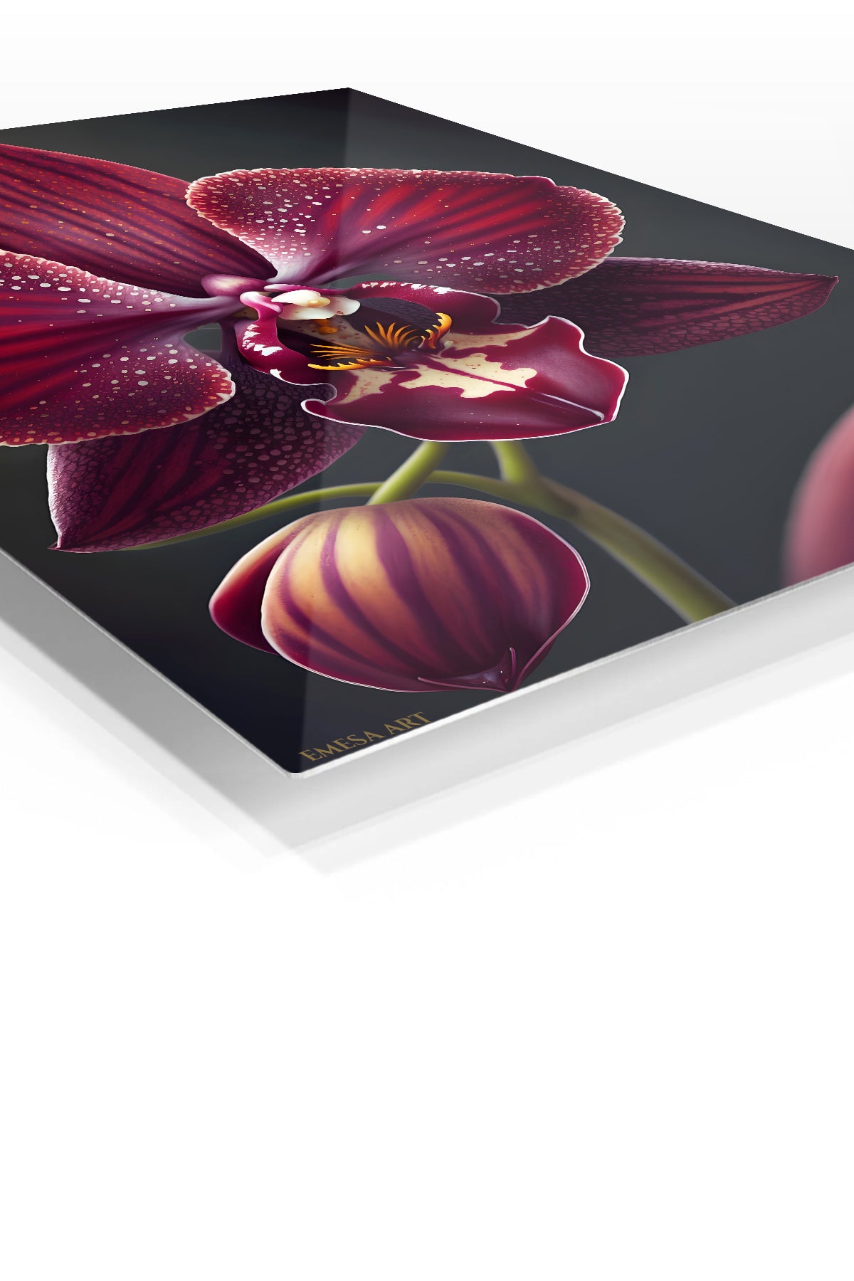 Velvet Burgundy Orchid premium metal wall art – angled view