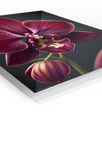 Velvet Burgundy Orchid premium metal wall art – angled view
