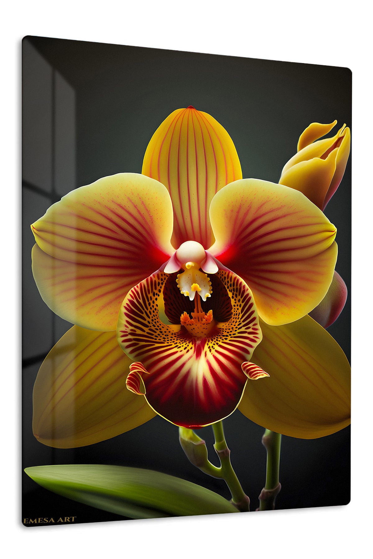 Golden Orchid Bloom premium metal wall art – front view