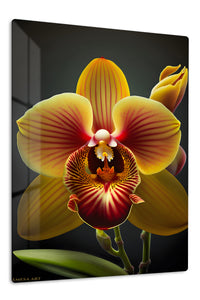 Golden Orchid Bloom premium metal wall art – front view