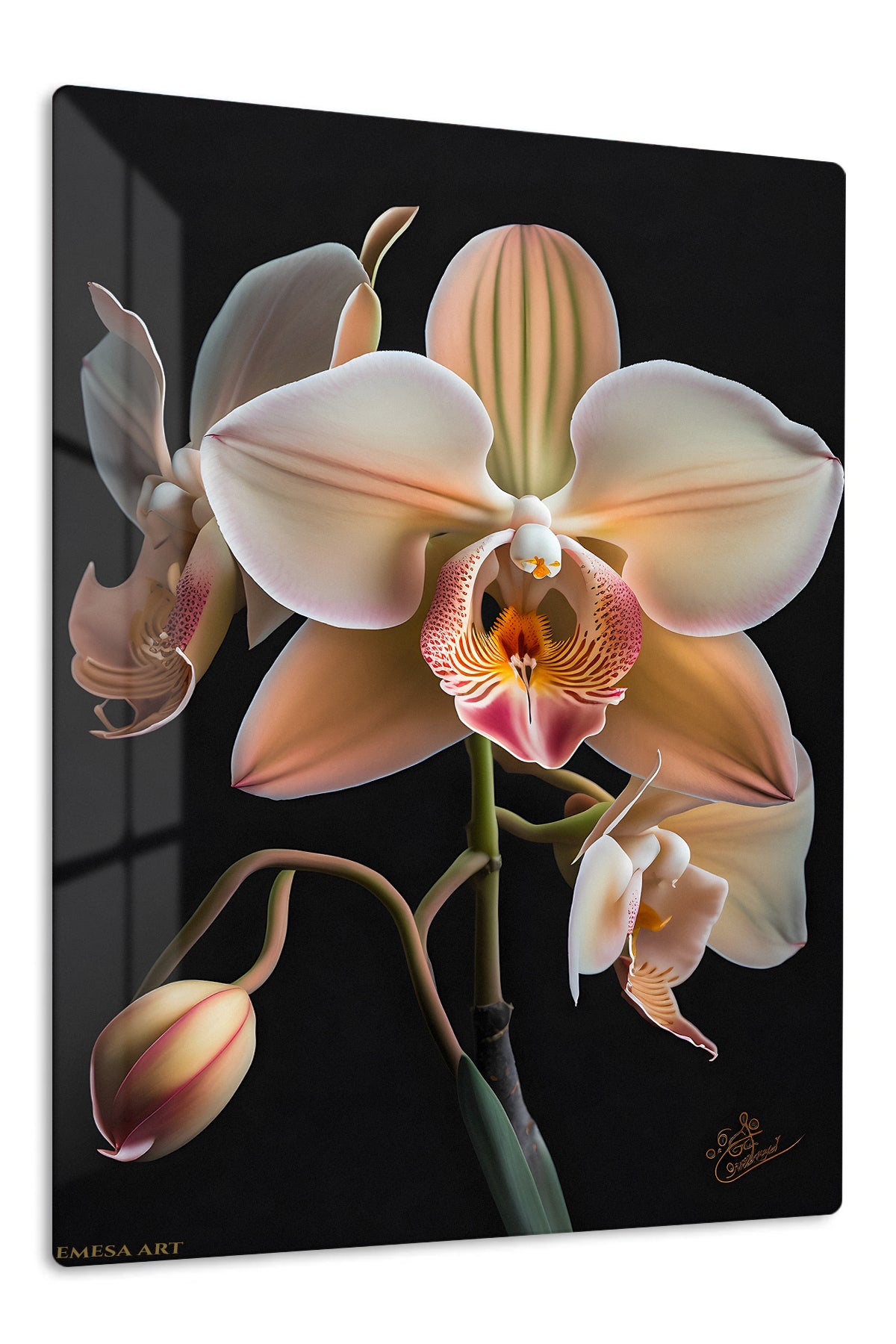 Blush Orchid Bloom premium metal wall art – front view