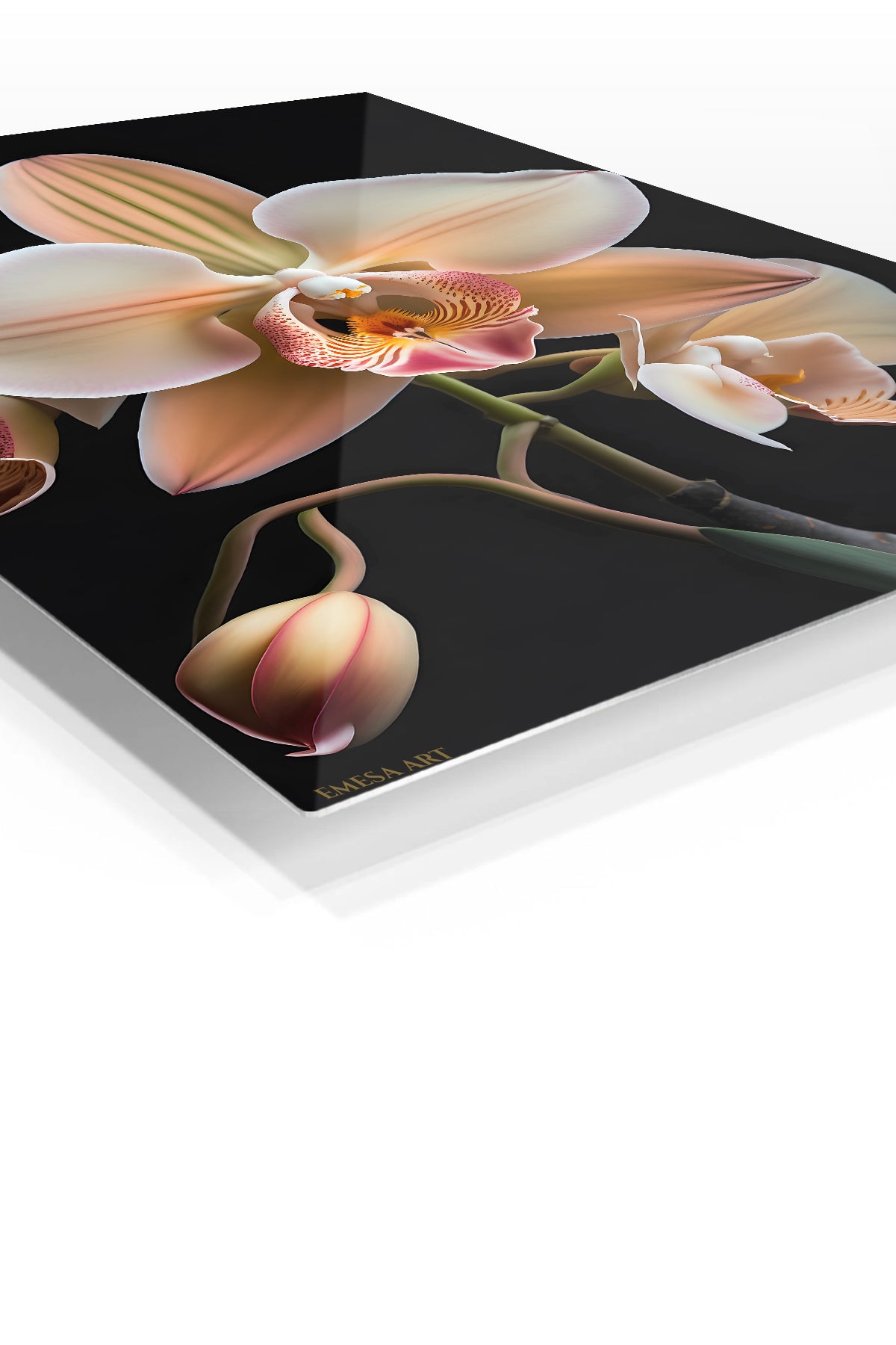 Blush Orchid Bloom premium metal wall art – angled view