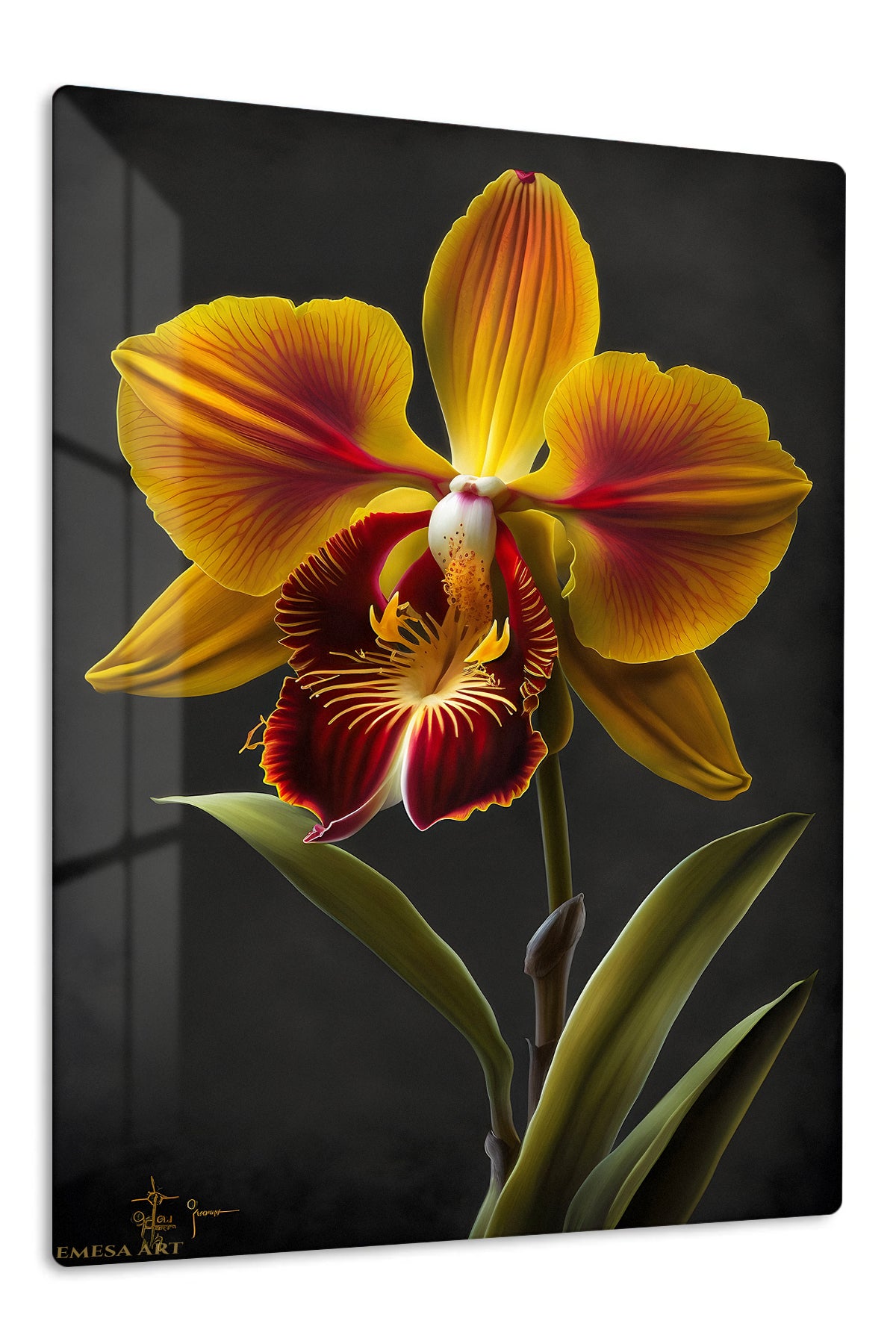 Golden Orchid on Black premium metal wall art – front view