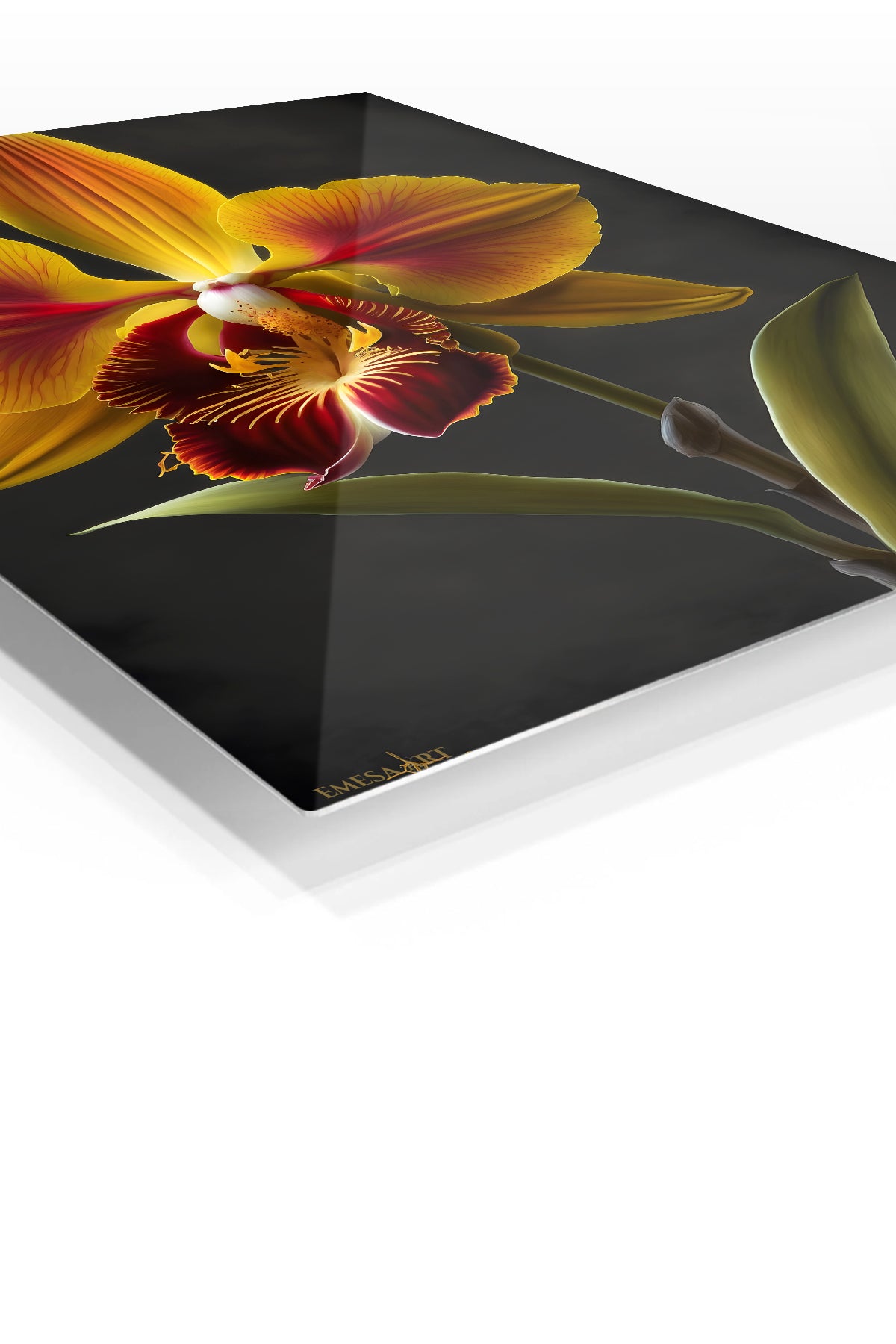 Golden Orchid on Black premium metal wall art – angled view