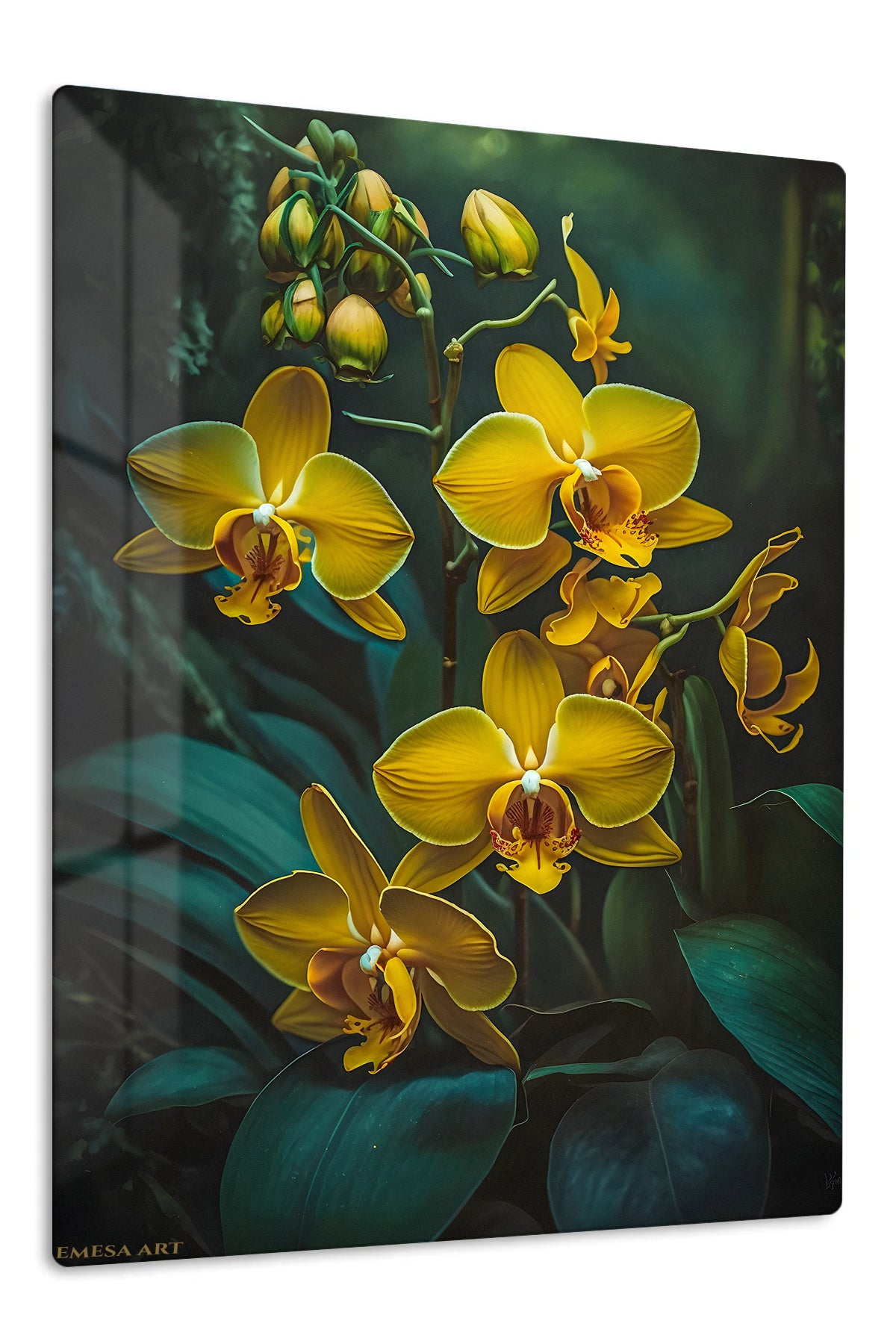 Golden Orchids in Shadow premium metal wall art – front view