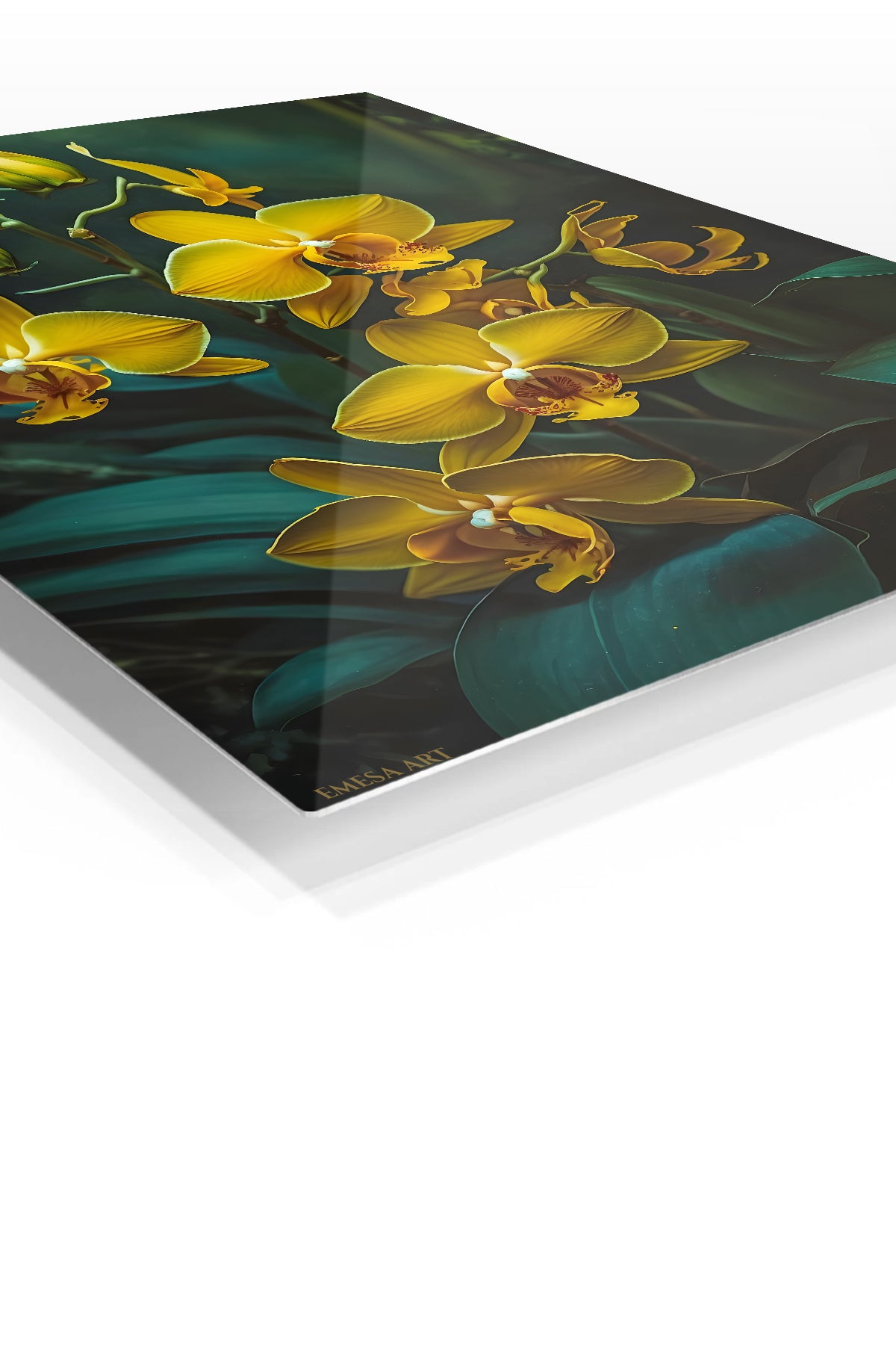Golden Orchids in Shadow premium metal wall art – angled view