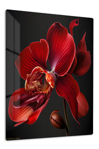 Crimson Orchid Bloom premium metal wall art – front view