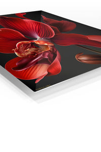 Crimson Orchid Bloom premium metal wall art – angled view