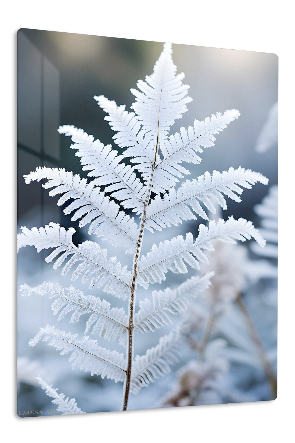 Frosted Fern Frond premium metal wall art – front view