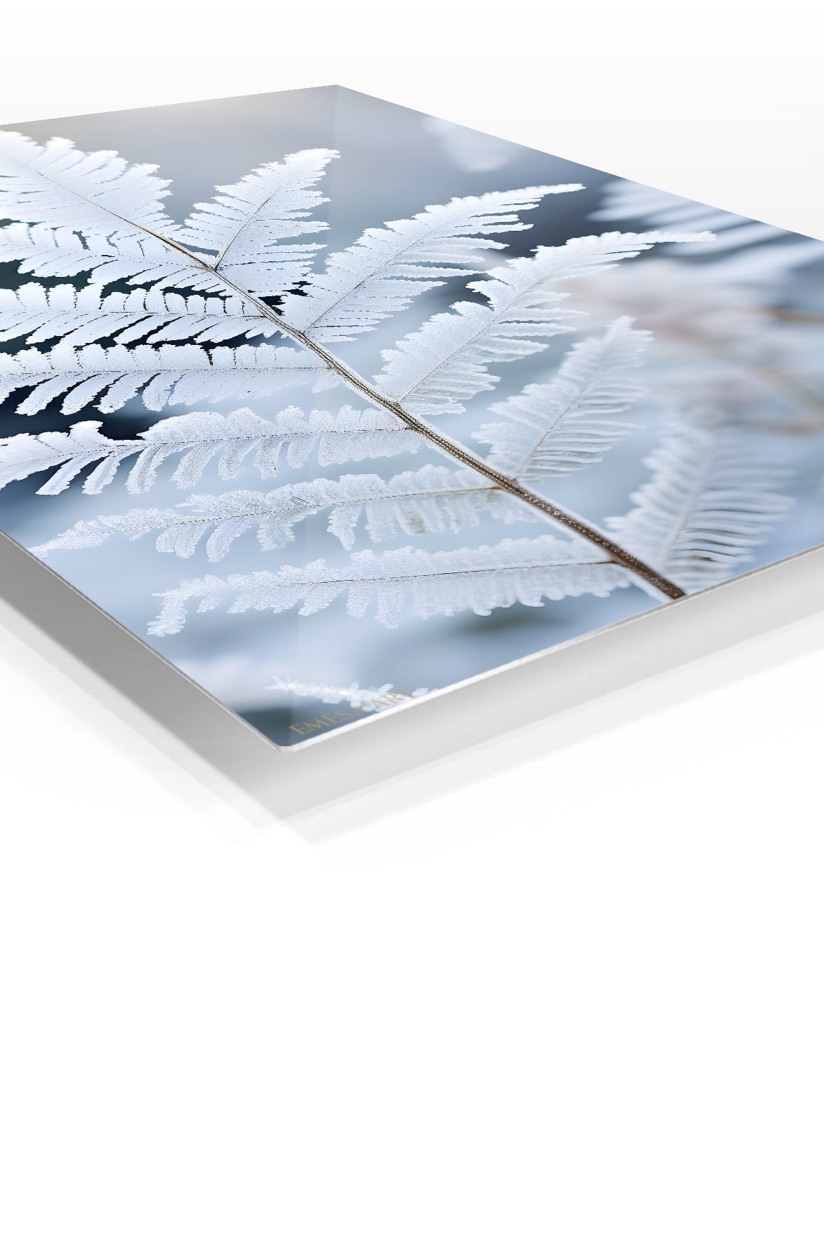 Frosted Fern Frond premium metal wall art – angled view
