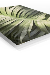 Luminous Tropical Leaf Canopy premium metal wall art – angled view