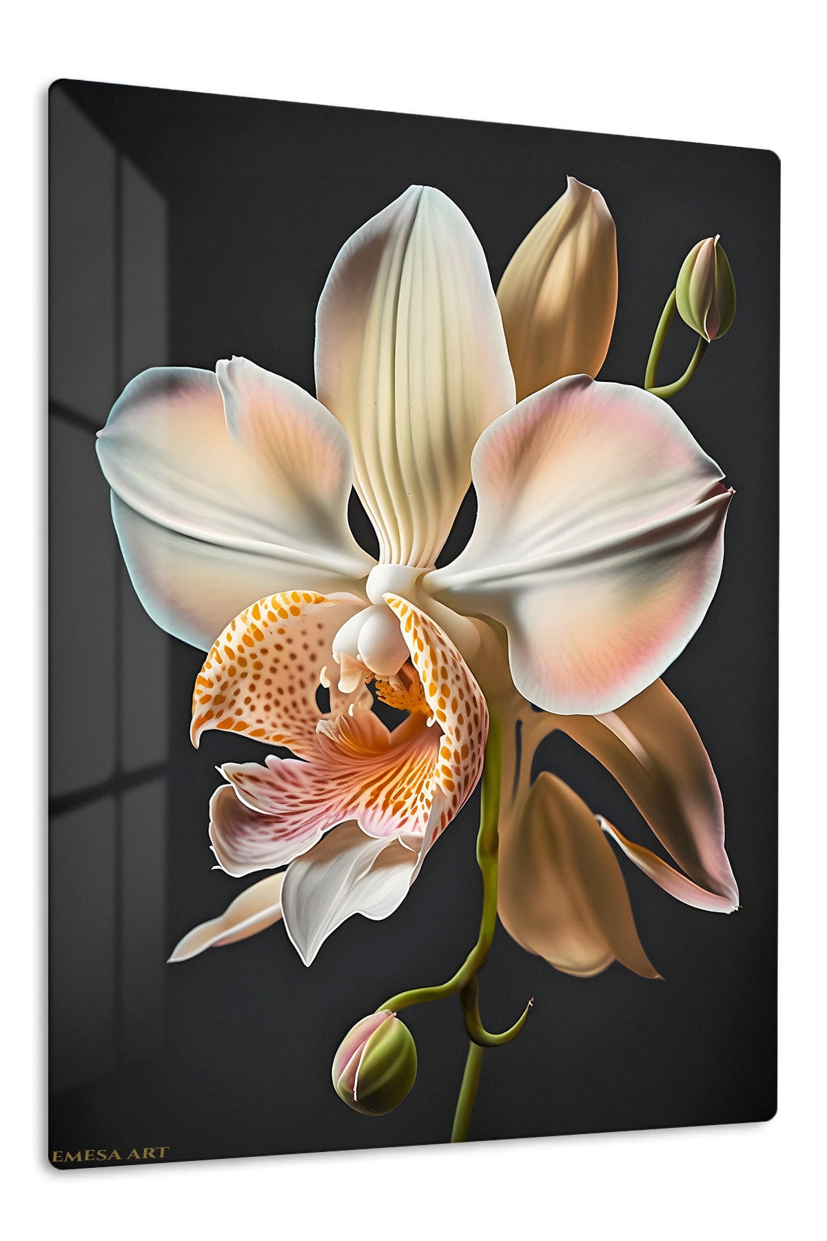 Blush Orchid on Black premium metal wall art – front view