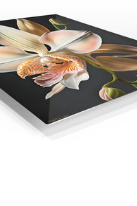 Blush Orchid on Black premium metal wall art – angled view