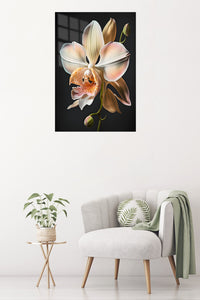 Blush Orchid on Black metal wall art displayed in a contemporary living space