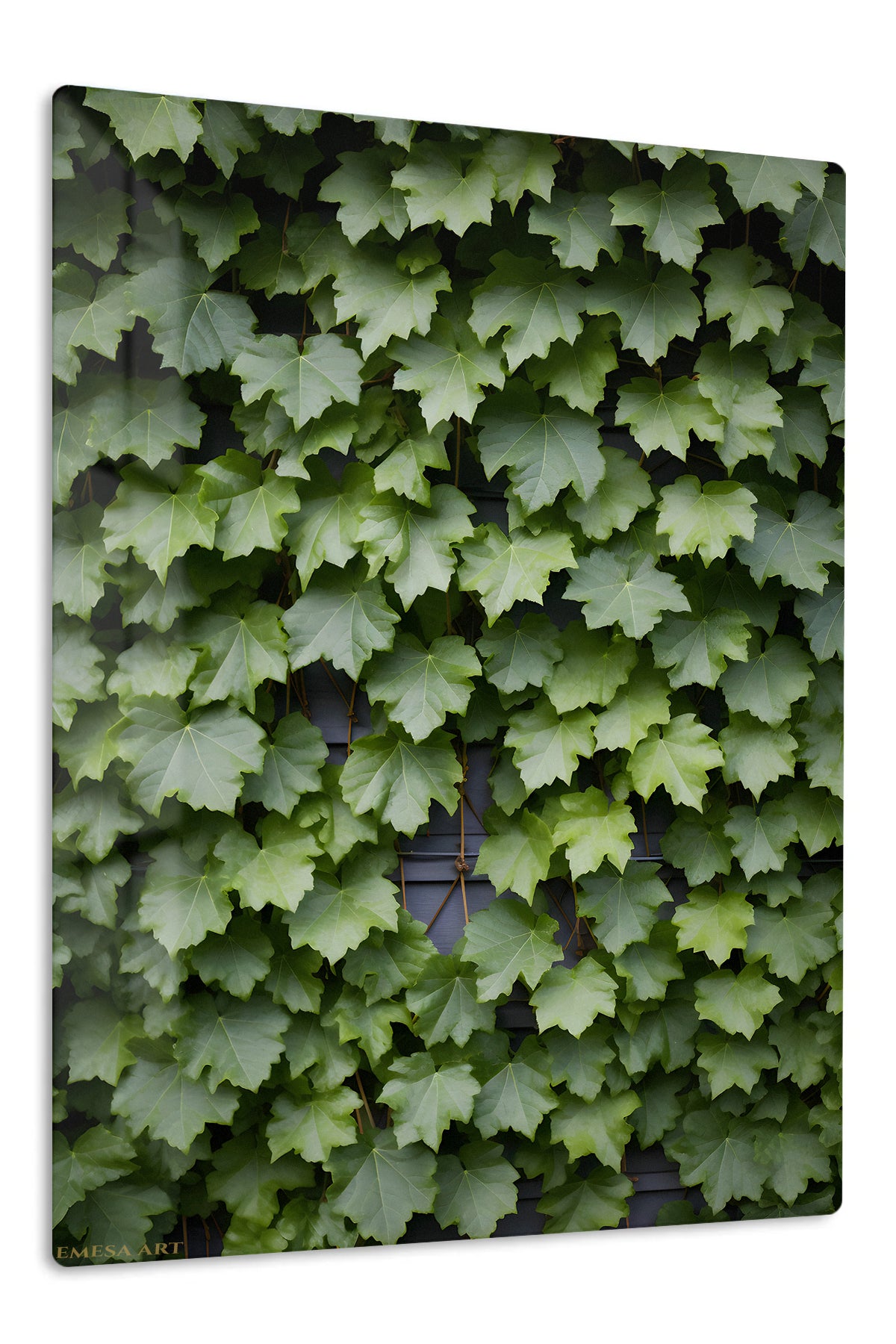 Lush Green Maple Leaves premium metal wall art – front view