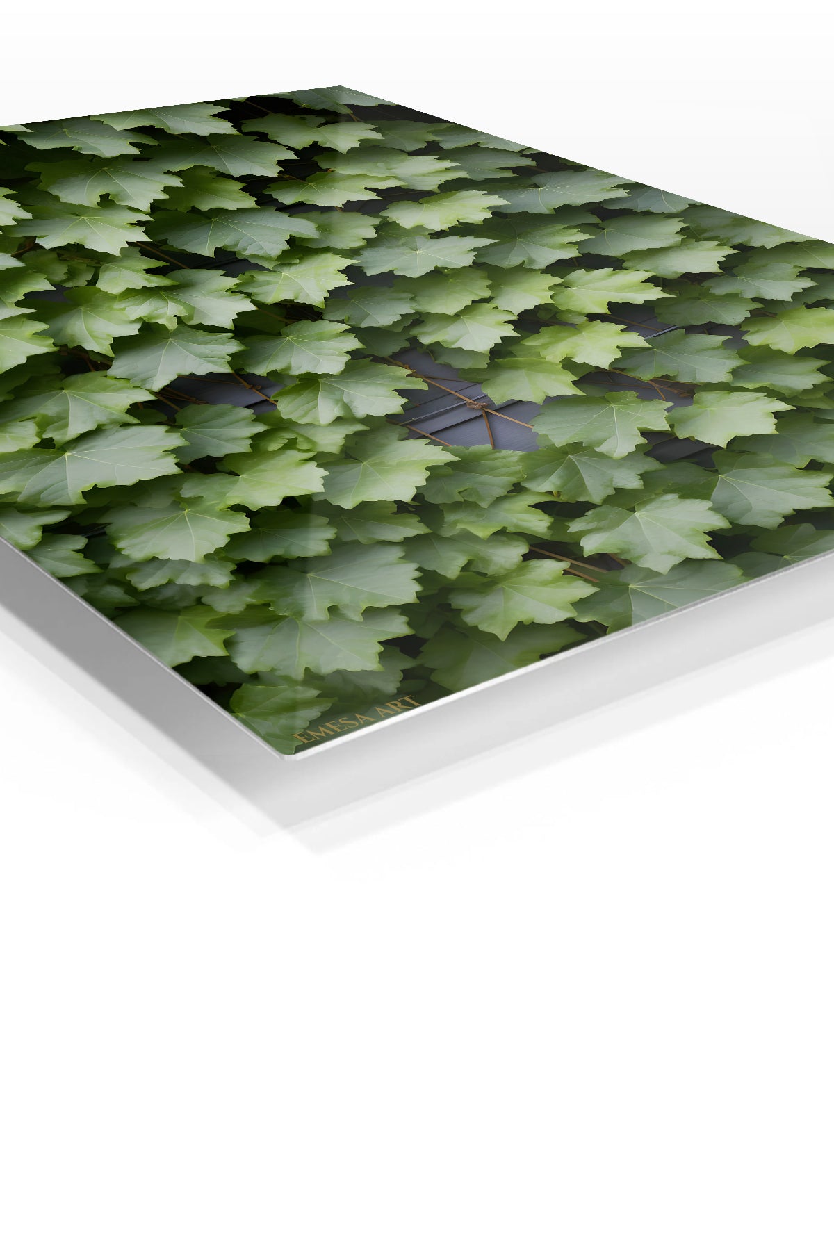 Lush Green Maple Leaves premium metal wall art – angled view