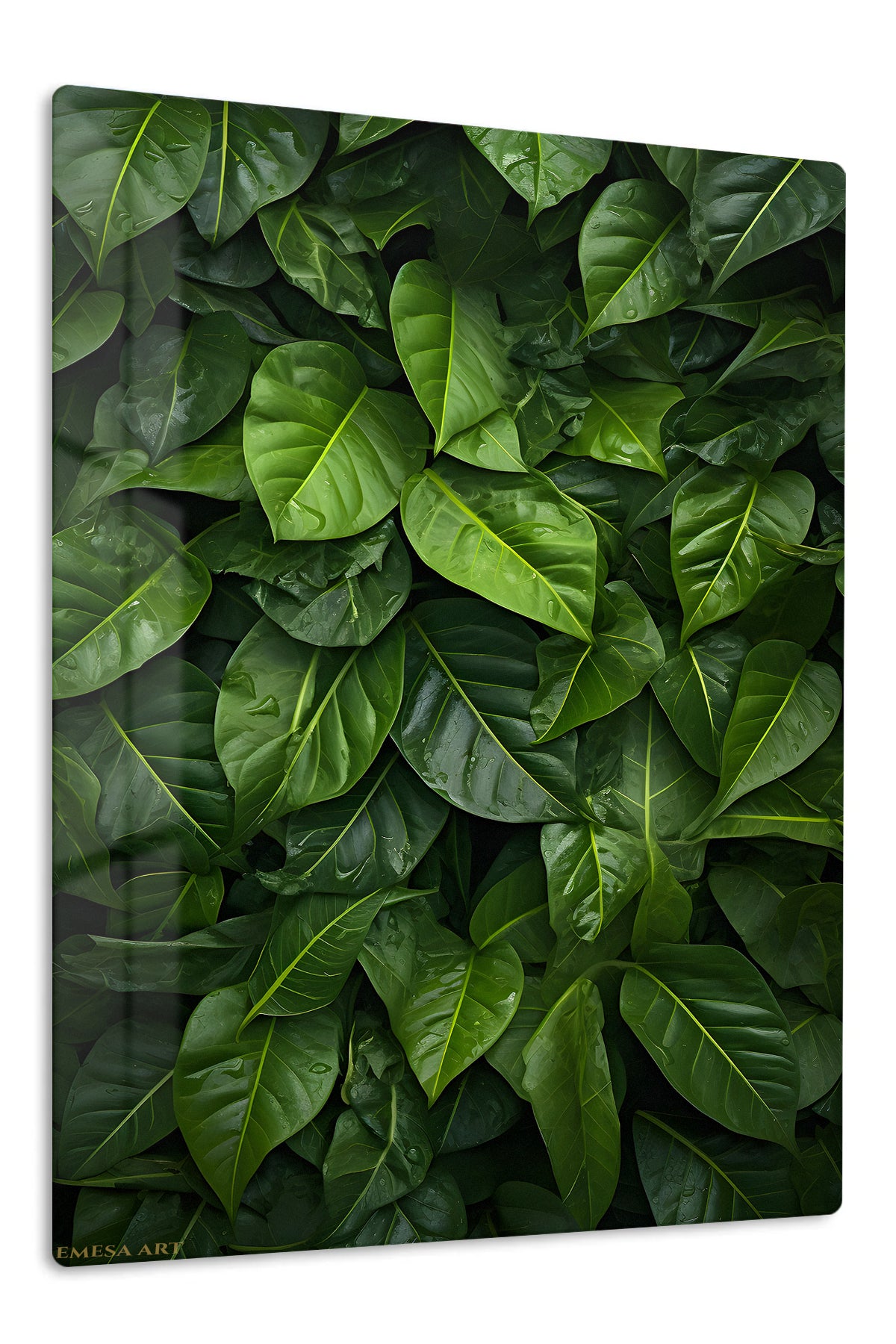 Rain-Kissed Tropical Leaves premium metal wall art – front view
