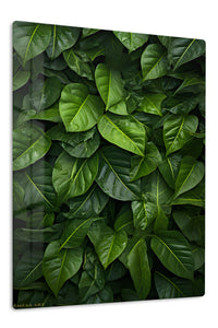 Rain-Kissed Tropical Leaves premium metal wall art – front view