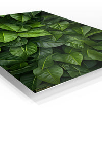Rain-Kissed Tropical Leaves premium metal wall art – angled view