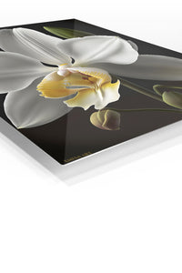 White Orchid on Midnight premium metal wall art – angled view