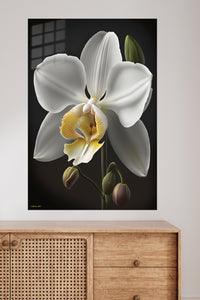 White Orchid on Midnight metal wall art displayed in a modern interior