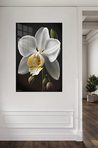 White Orchid on Midnight metal wall art displayed in a contemporary living space