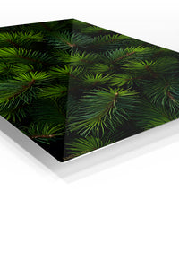 Evergreen Pine Needle Canopy premium metal wall art – angled view