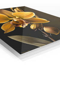 Golden Orchid Glow premium metal wall art – angled view
