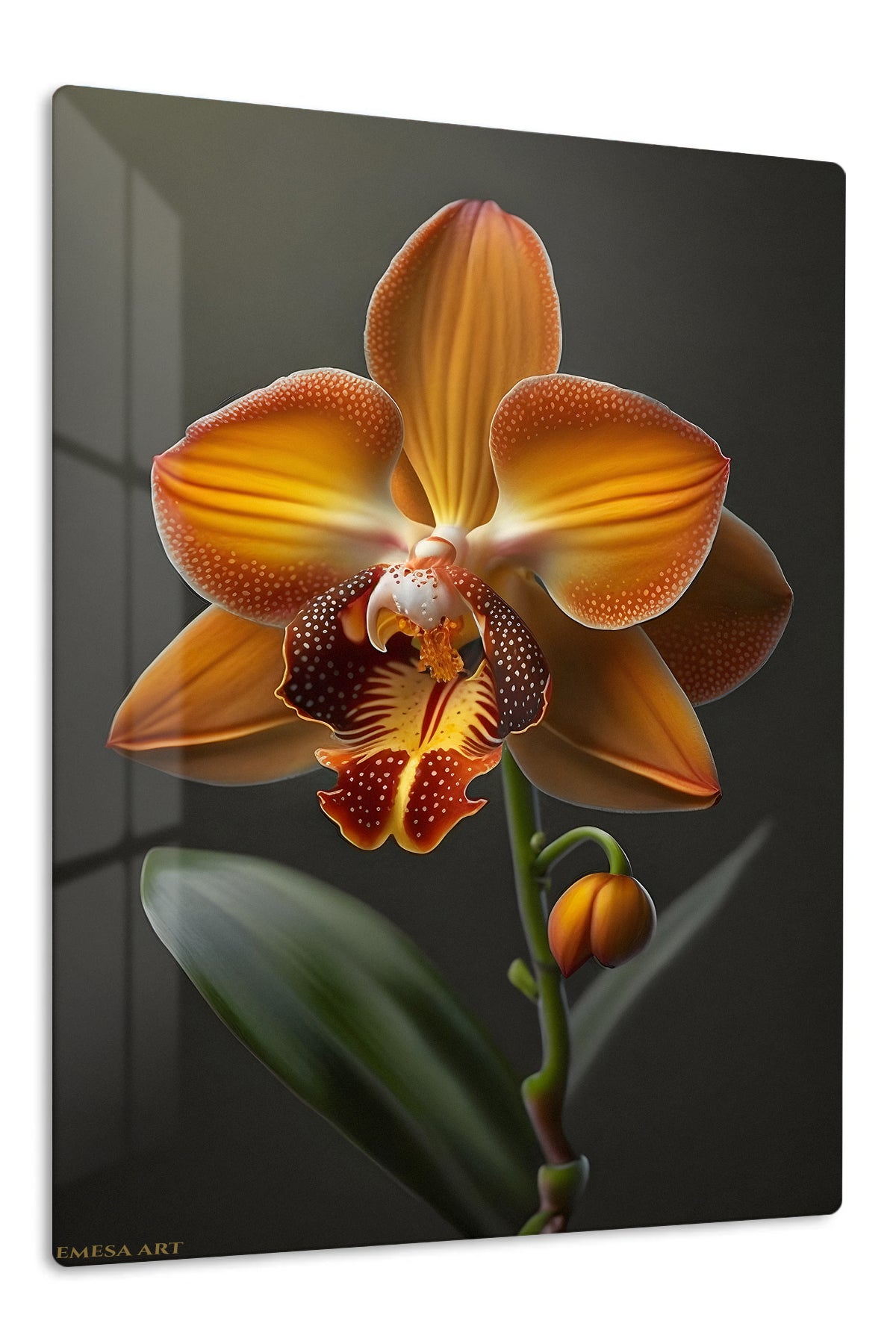 Amber Orchid Bloom premium metal wall art – front view