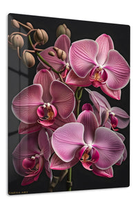 Pink Orchid Cascade premium metal wall art – front view