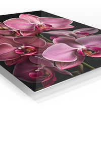 Pink Orchid Cascade premium metal wall art – angled view